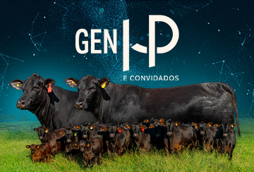 LEILÃO GEN HP E CONVIDADOS